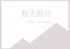 漳州龙文白山建设有限公司